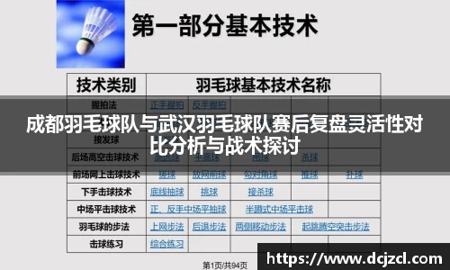 成都羽毛球队与武汉羽毛球队赛后复盘灵活性对比分析与战术探讨