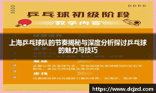 上海乒乓球队的节奏揭秘与深度分析探讨乒乓球的魅力与技巧
